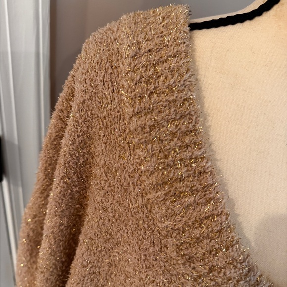 Ava & Viv Shimmering Beige V-Neck Sweater - Picture 2 of 3